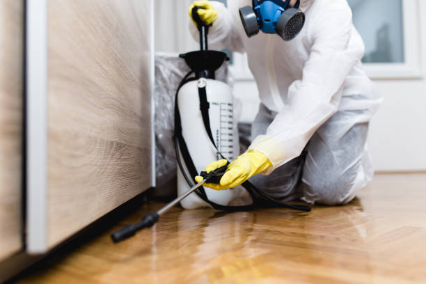 Best Emergency Pest Control  in Avon Park, FL
