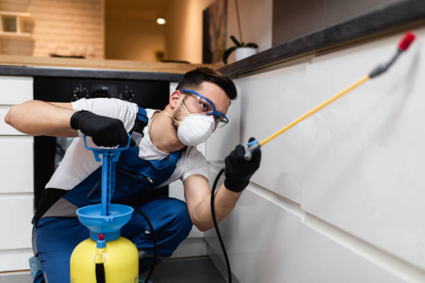 Best Pest Inspection Near Me  in Avon Park, FL