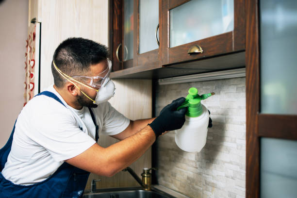 Best Commercial Pest Control Services  in Avon Park, FL