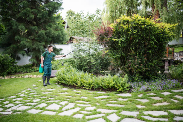 Best Affordable Pest Control Services  in Avon Park, FL