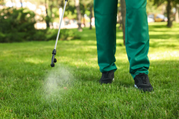 Best Flea Control Services  in Avon Park, FL