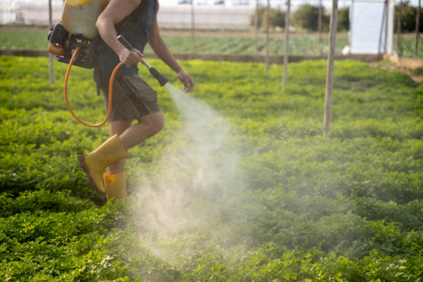 Reliable Avon Park, FL Pest Control Solutions