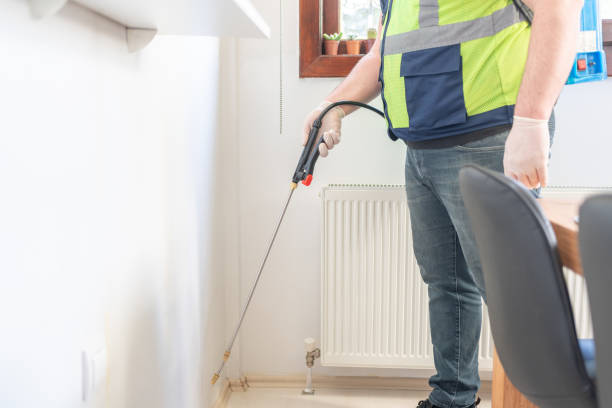 Best Pest Removal Services  in Avon Park, FL